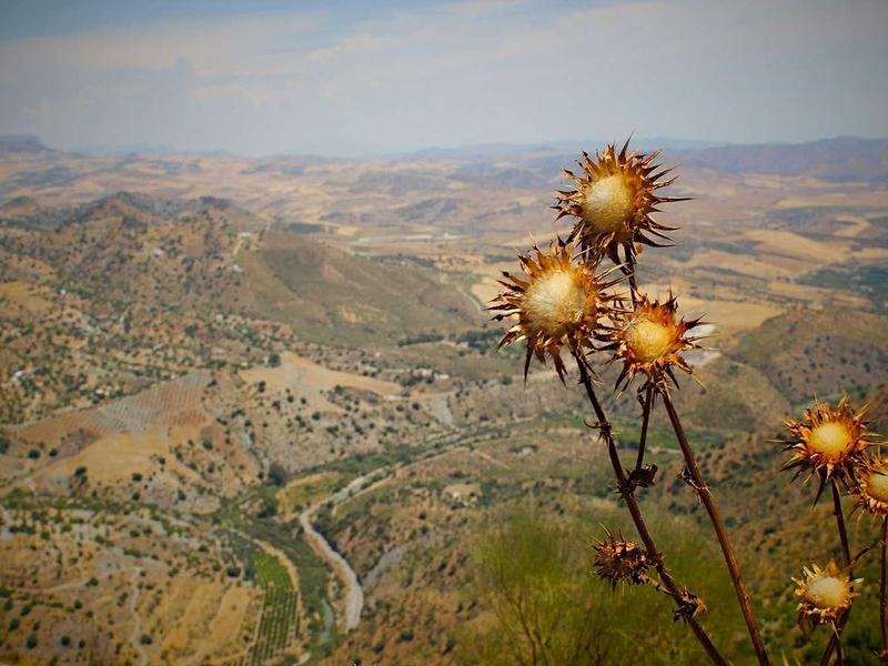5 platos dominicanos que debes probar antes de morir